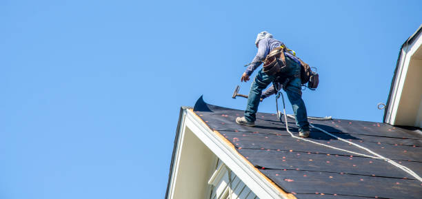 Sealant for Roof in Cheraw, SC